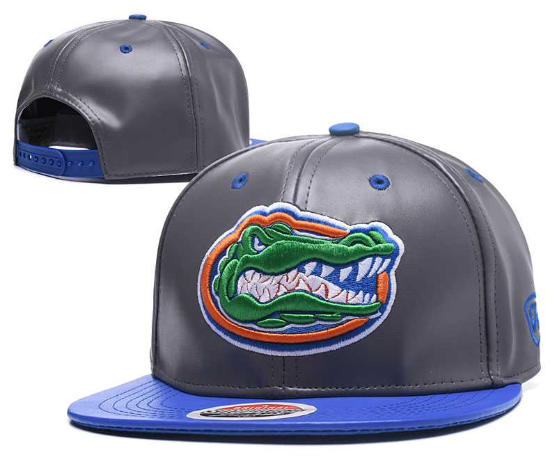 Florida Gators Team Logo Gray Blue Adjustable Hat GS,We sell and wholesale Florida Gators Team Logo Gray Blue Adjustable Hat GS on line form chian!